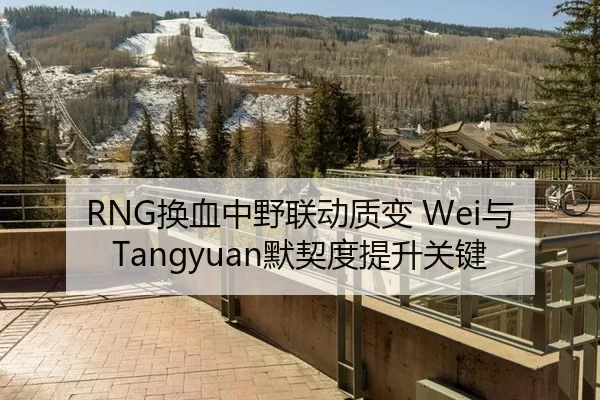 RNG换血中野联动质变 Wei与Tangyuan默契度提升关键